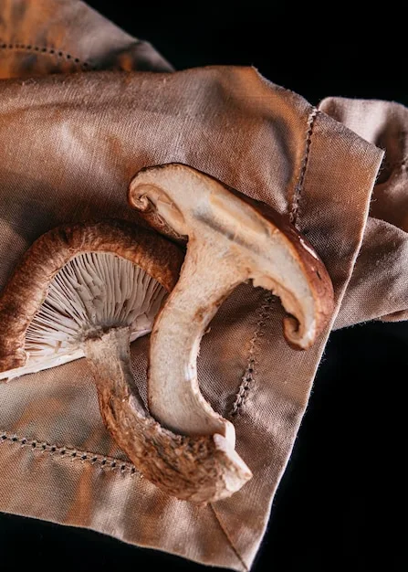 A detail shot of a shoe made from Mylo (mushroom leather), emphasizing its texture and comparing it to traditional leather.