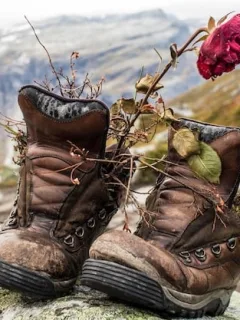 Choose the Right Hiking Boots for the German Alps: A Beginner's Guide - Cover Image