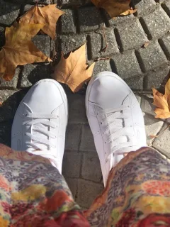How to Clean Adidas Sneakers: German Weather Guide - Cover Image