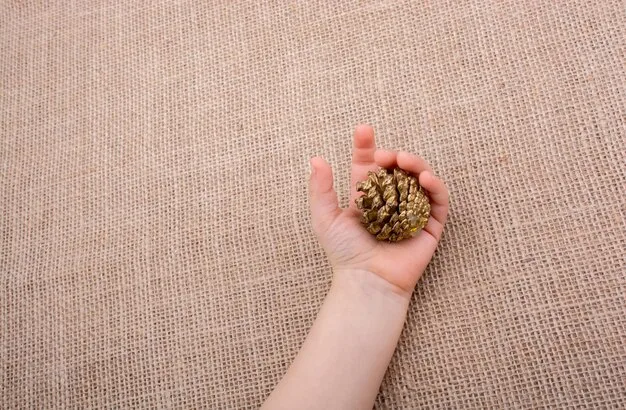 A photograph of a hand gently holding ambrette seeds, showcasing their natural texture and color. The background is a blurred field, suggesting the seeds are freshly harvested.