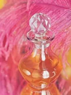 Top 5 Fragrance Notes Taking Over Germany's Perfume Market in 2025 - Cover Image