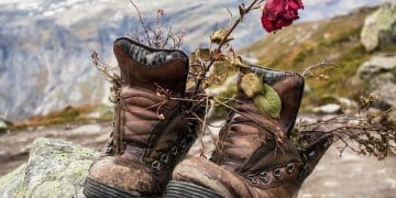 Choose the Right Hiking Boots for the German Alps: A Beginner's Guide - Cover Image