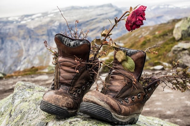 Choose the Right Hiking Boots for the German Alps: A Beginner’s Guide