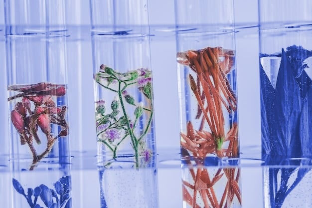 Sustainable Shoe Materials: 2025 Innovation Trends