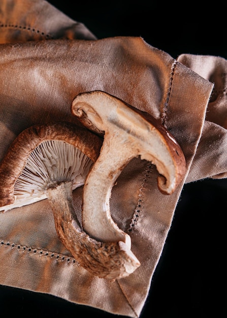 A detail shot of a shoe made from Mylo (mushroom leather), emphasizing its texture and comparing it to traditional leather.