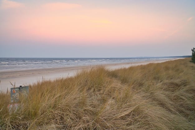 A panoramic view of the Baltic Sea coastline during sunrise. The photograph captures the serene and slightly rugged landscape, with amber-colored sunlight reflecting on the calm waters.