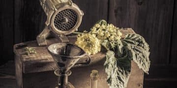 The History of Perfume in Germany: Tracing Trends from Ancient Times - Cover Image