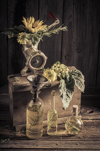 The History of Perfume in Germany: Tracing Trends from Ancient Times